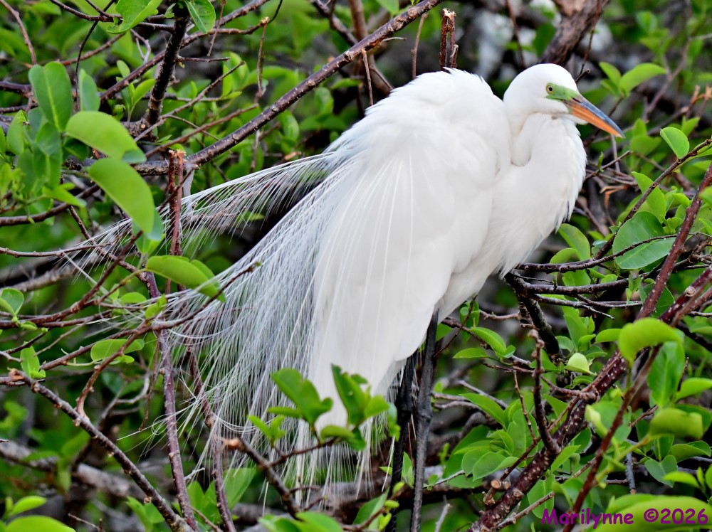 DSC_1328_001.JPG