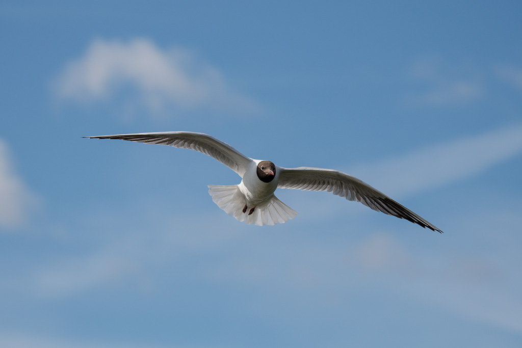 DSC_1329.jpg