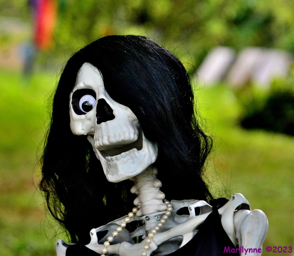 DSC_1330_001.JPG