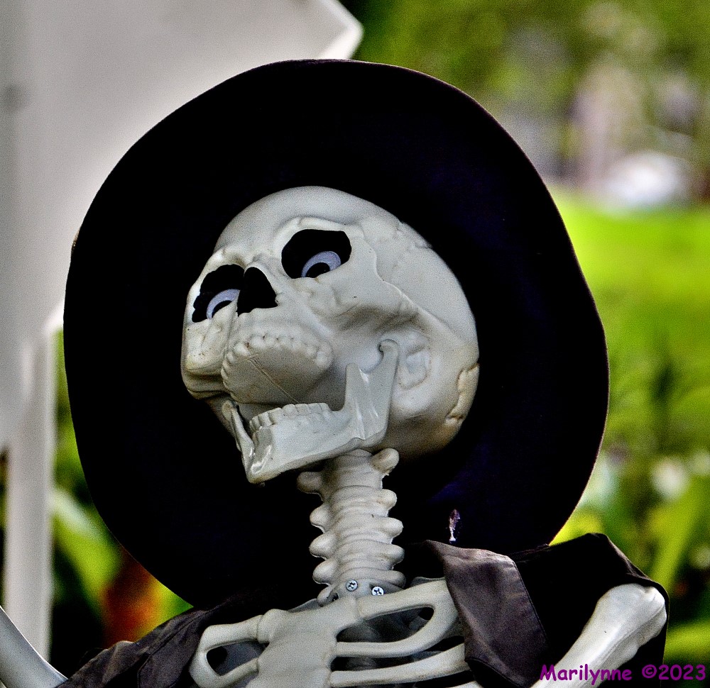 DSC_1331_001.JPG