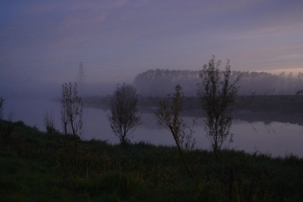 DSC_1332.jpg