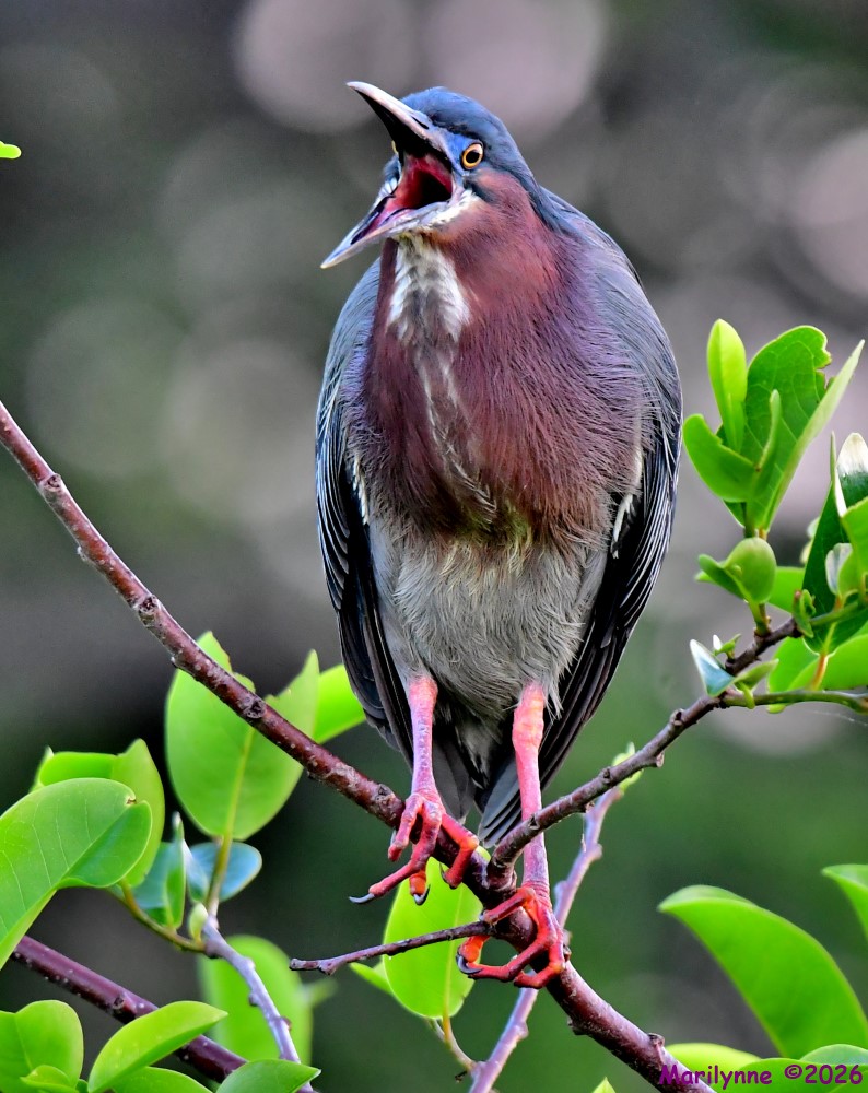 DSC_1340_001.JPG