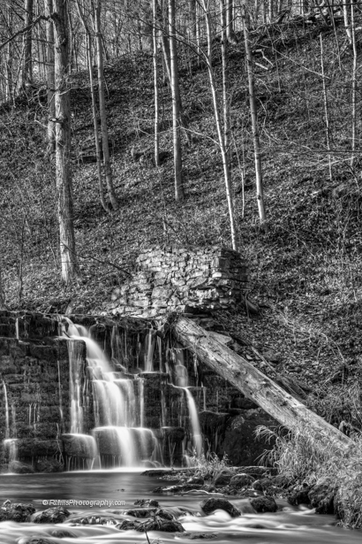 DSC_1342_4662_3_4663_4_4664_tonemapped-3.jpg