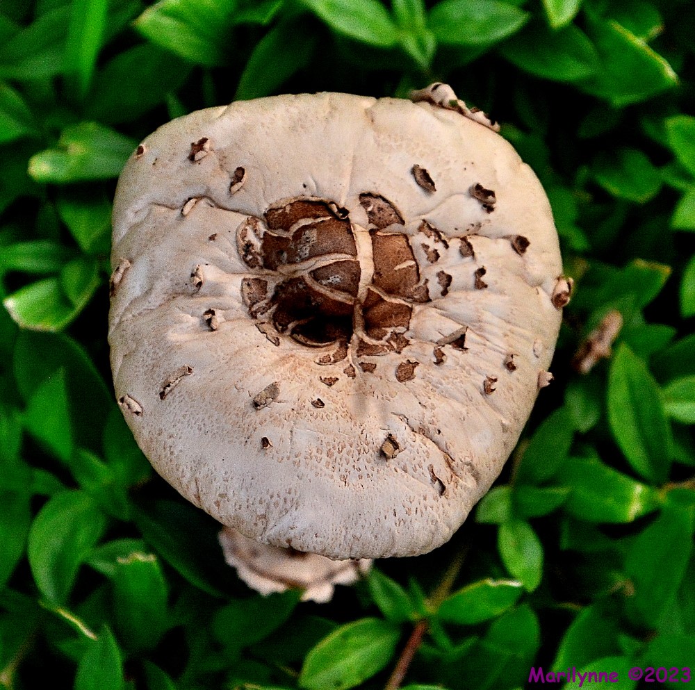 DSC_1344_001.JPG