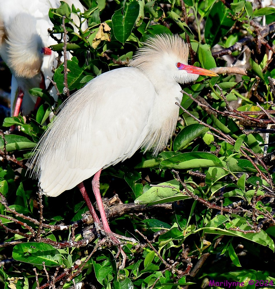 DSC_1345_001.JPG