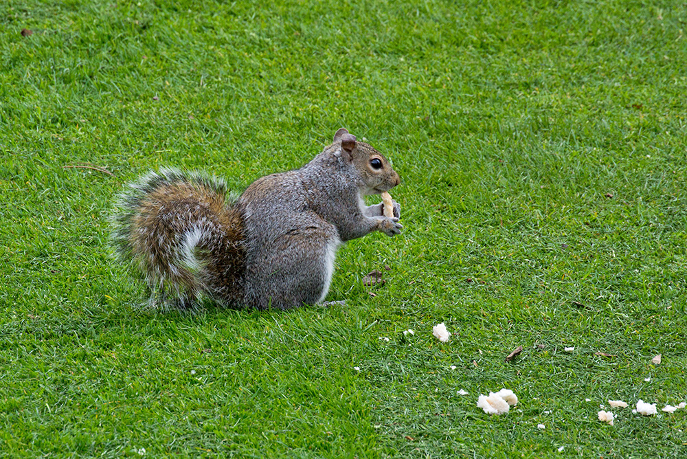 DSC_1347.jpg