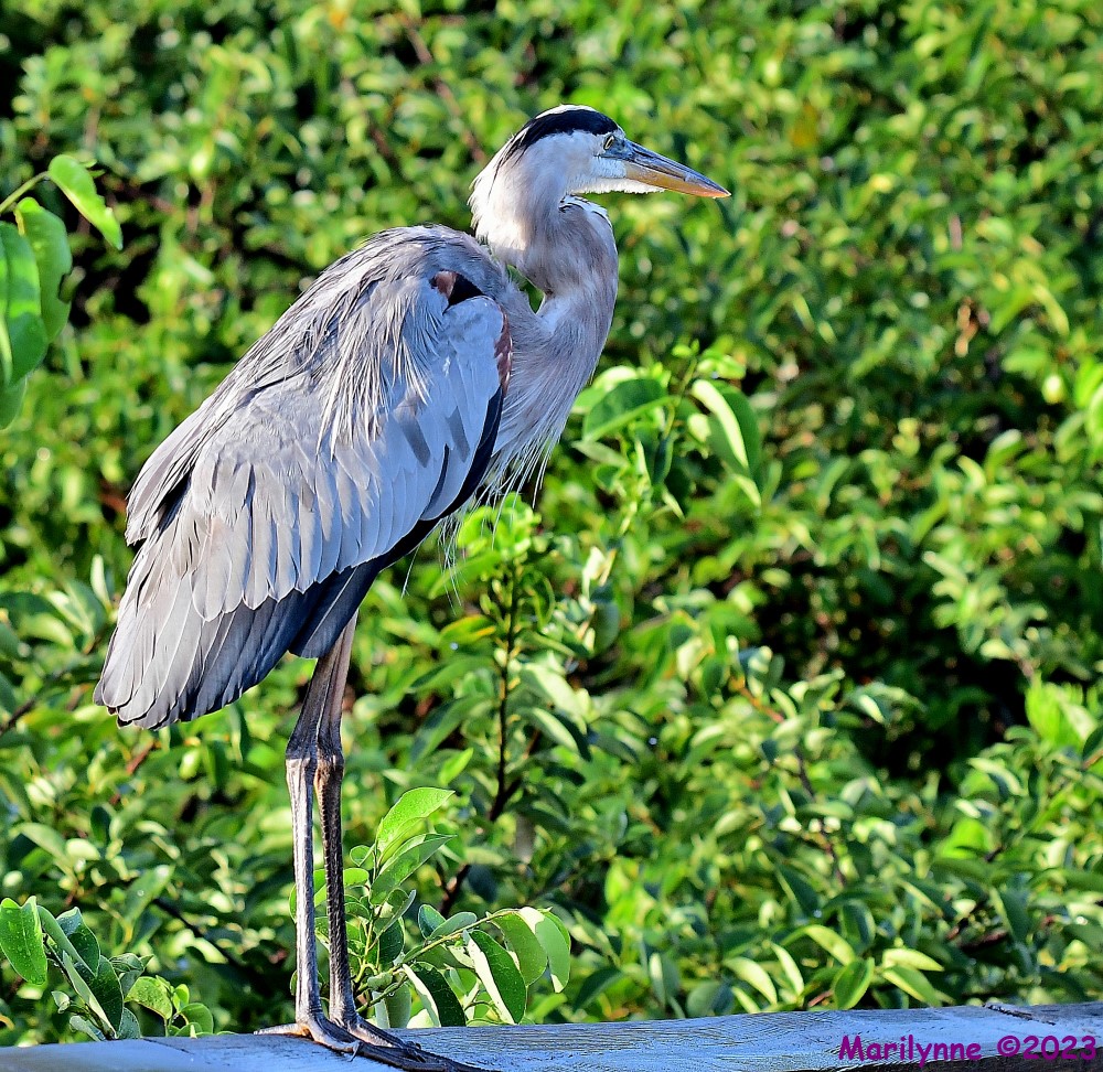 DSC_1349_001.JPG
