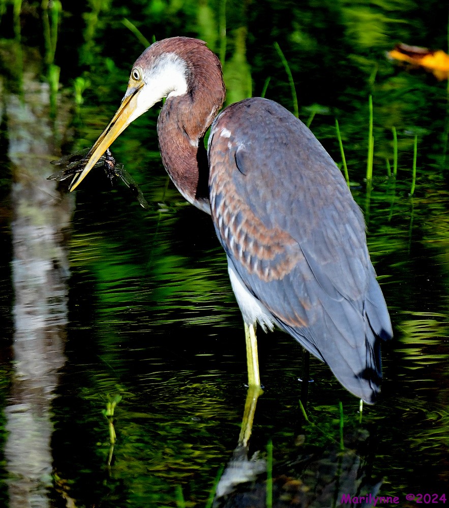 DSC_1349_001.JPG