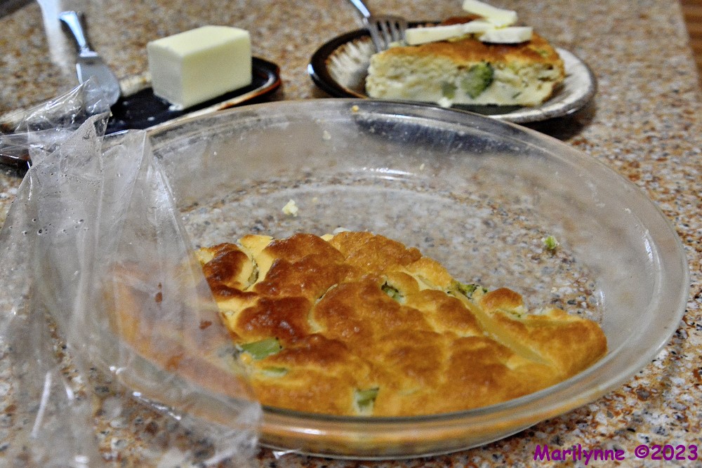 DSC_1350_001.JPG
