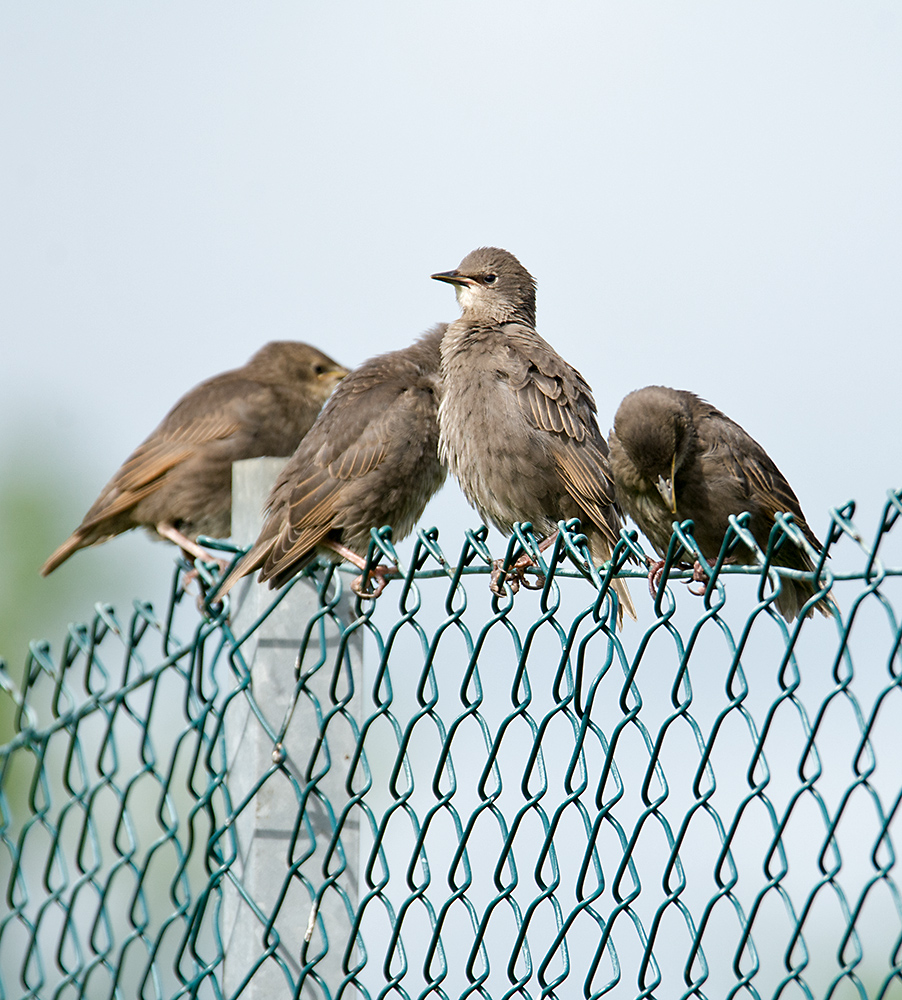 DSC_1351.jpg