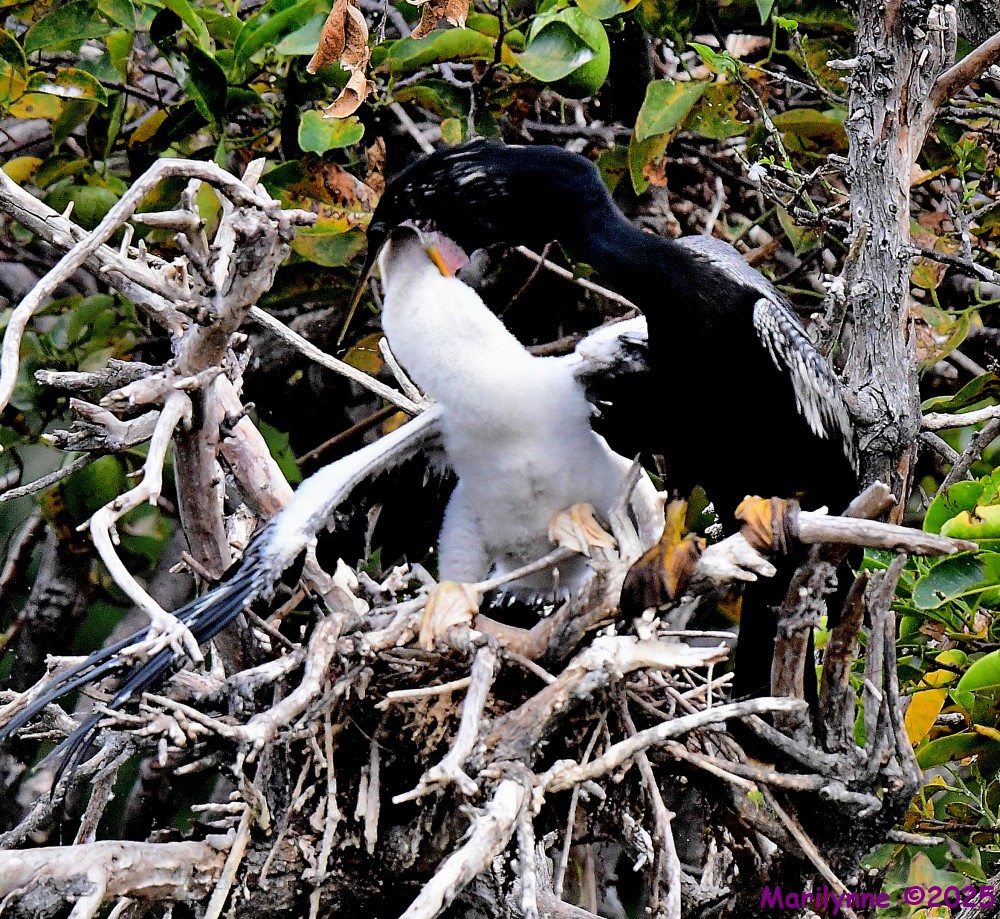 DSC_1351_001.JPG