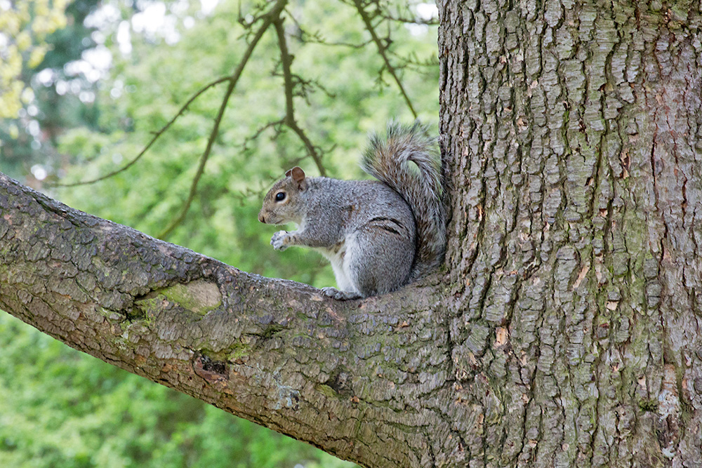 DSC_1352.jpg