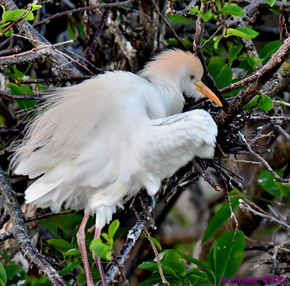 DSC_1356_001.JPG