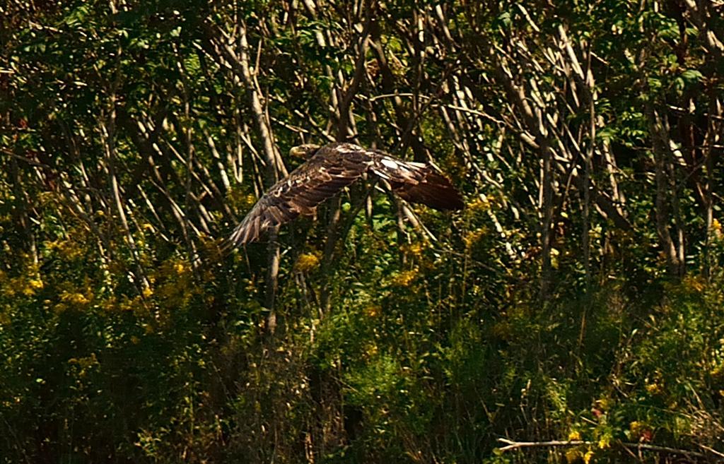 DSC_1357_02.jpg