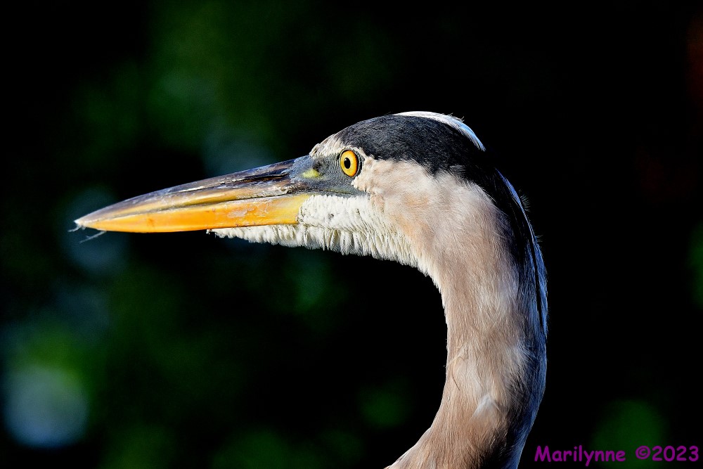 DSC_1358_001.JPG