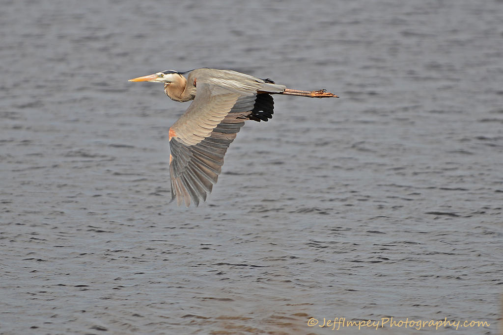 DSC_1359.jpg