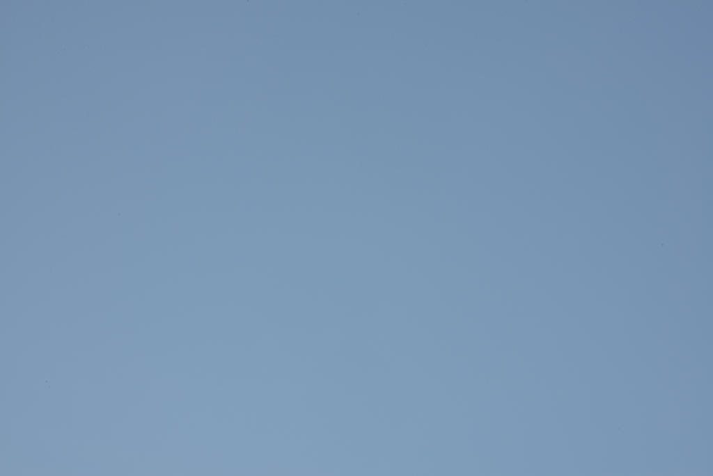 DSC_1360.jpg