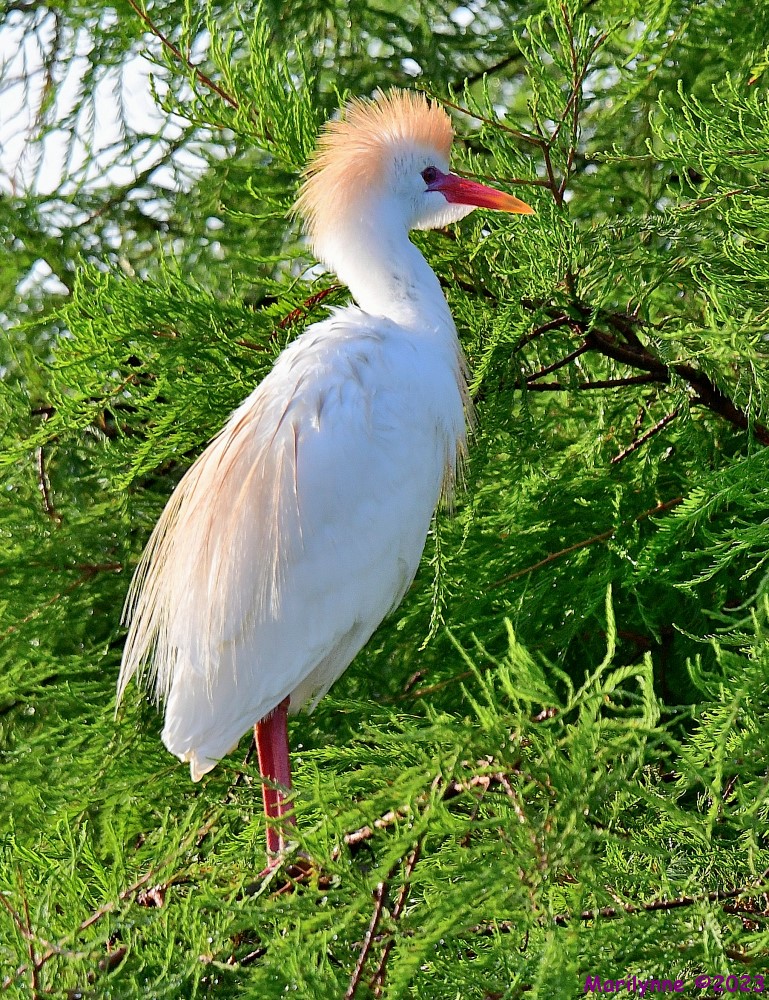 DSC_1360_001.JPG