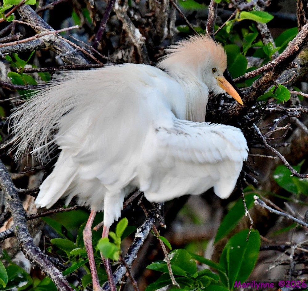 DSC_1360_001.JPG