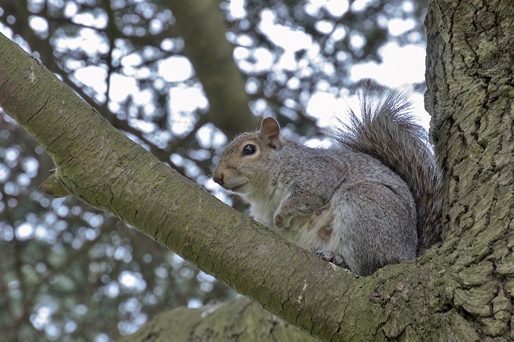DSC_1361.jpg