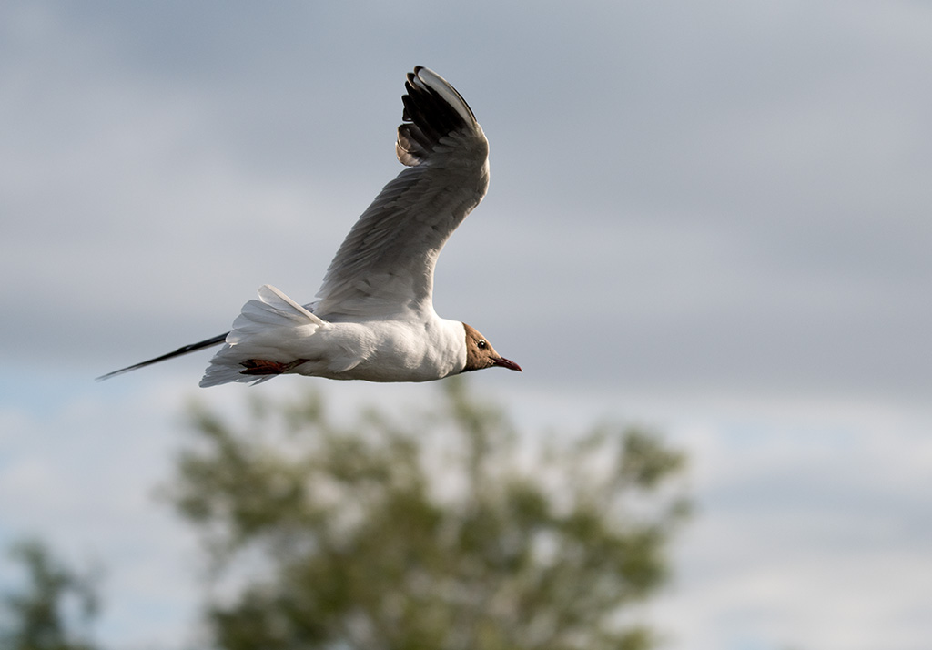 DSC_1363.jpg