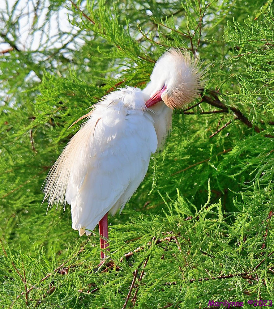 DSC_1363_001.JPG