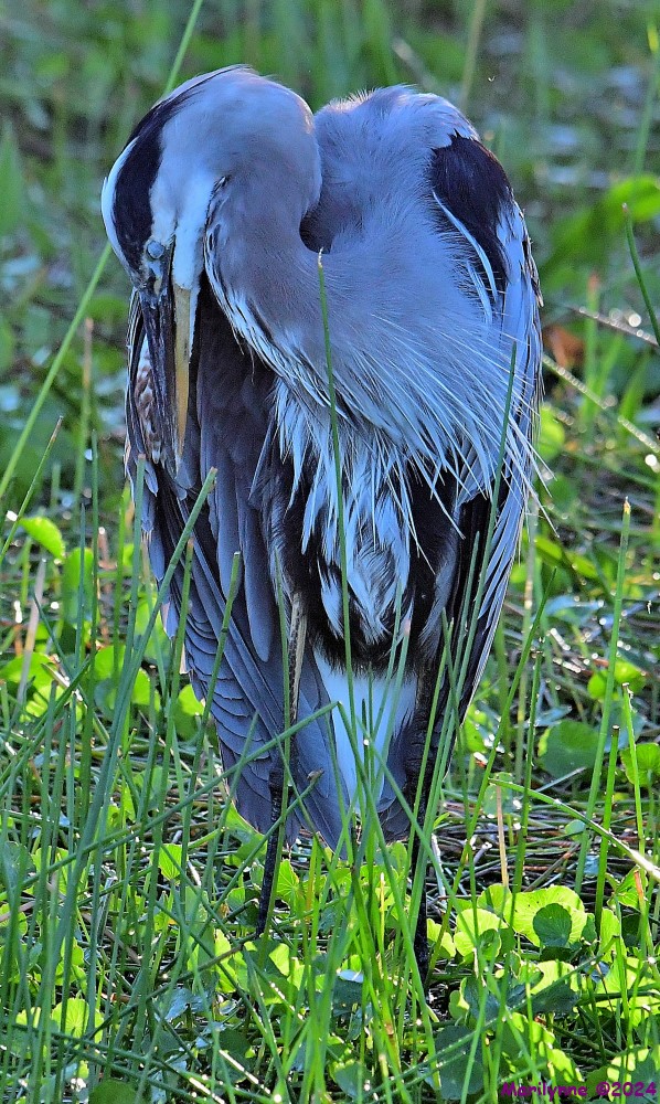 DSC_1363_001.JPG