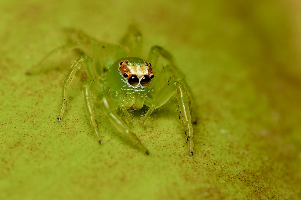 DSC_1364.jpg