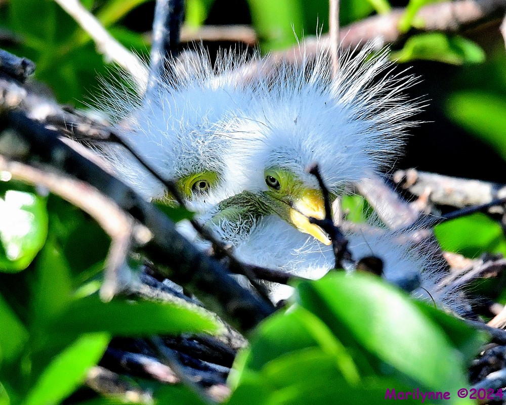 DSC_1364_001.JPG