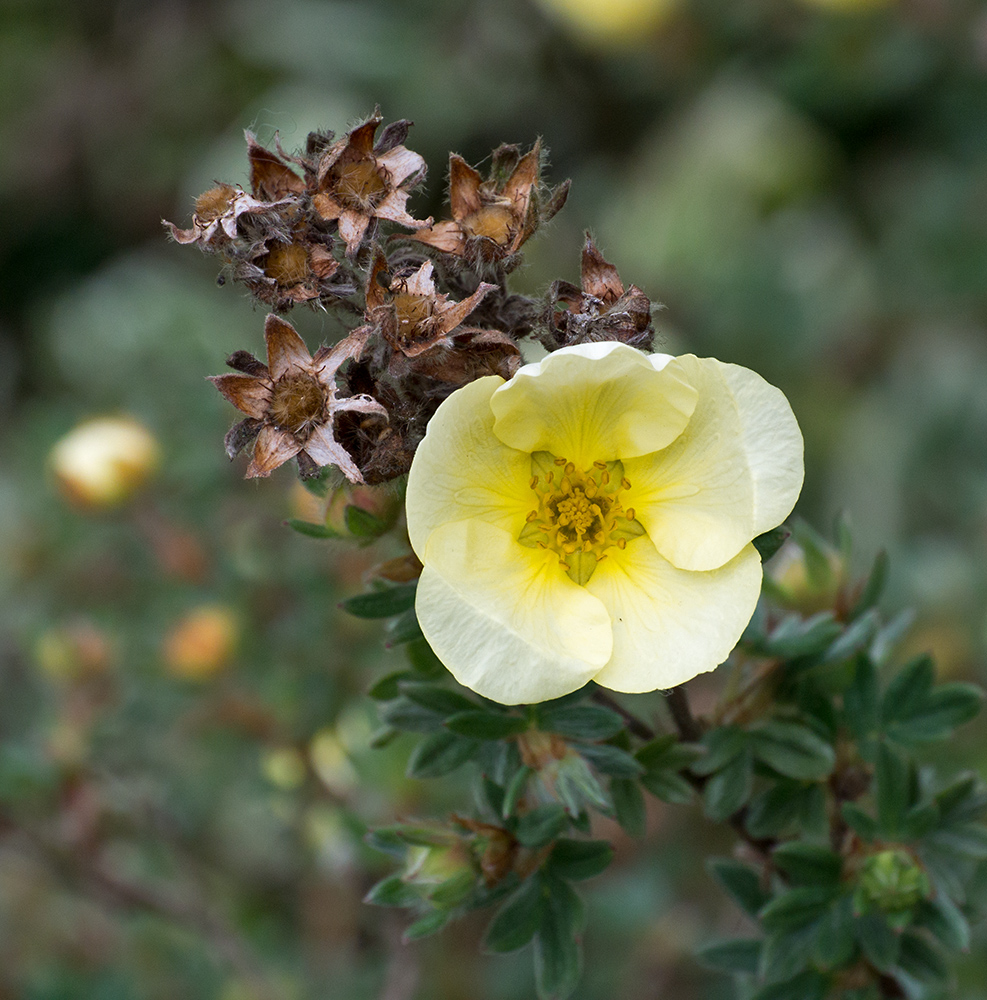 DSC_1365.jpg