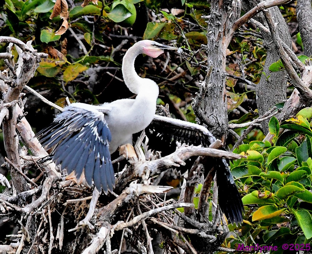 DSC_1365_001.JPG