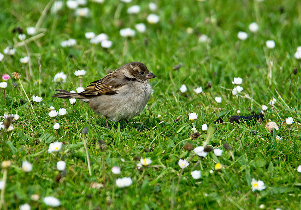 DSC_1369.jpg