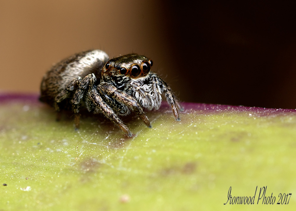 DSC_1369.jpg
