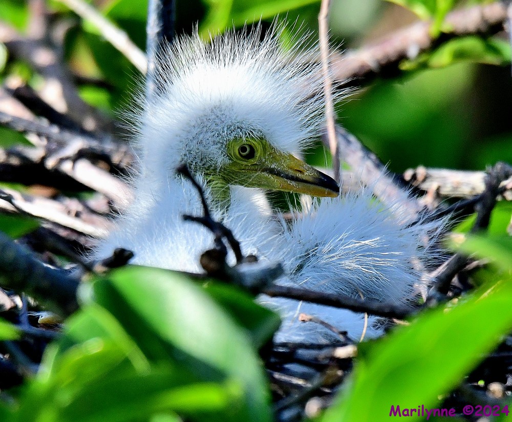 DSC_1369_001.JPG