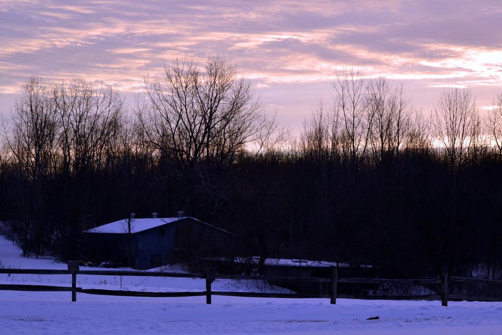 DSC_1370.jpg