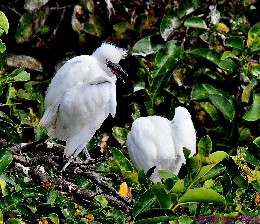 DSC_1370_001.JPG