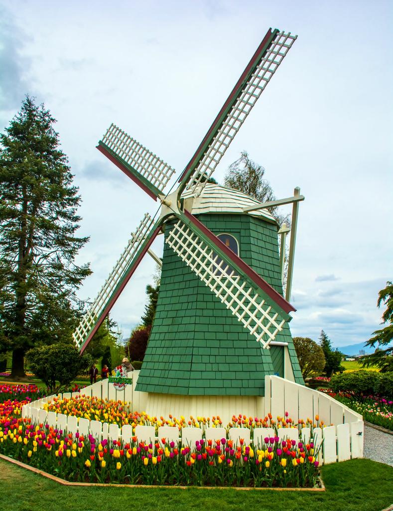 DSC_1372.jpg