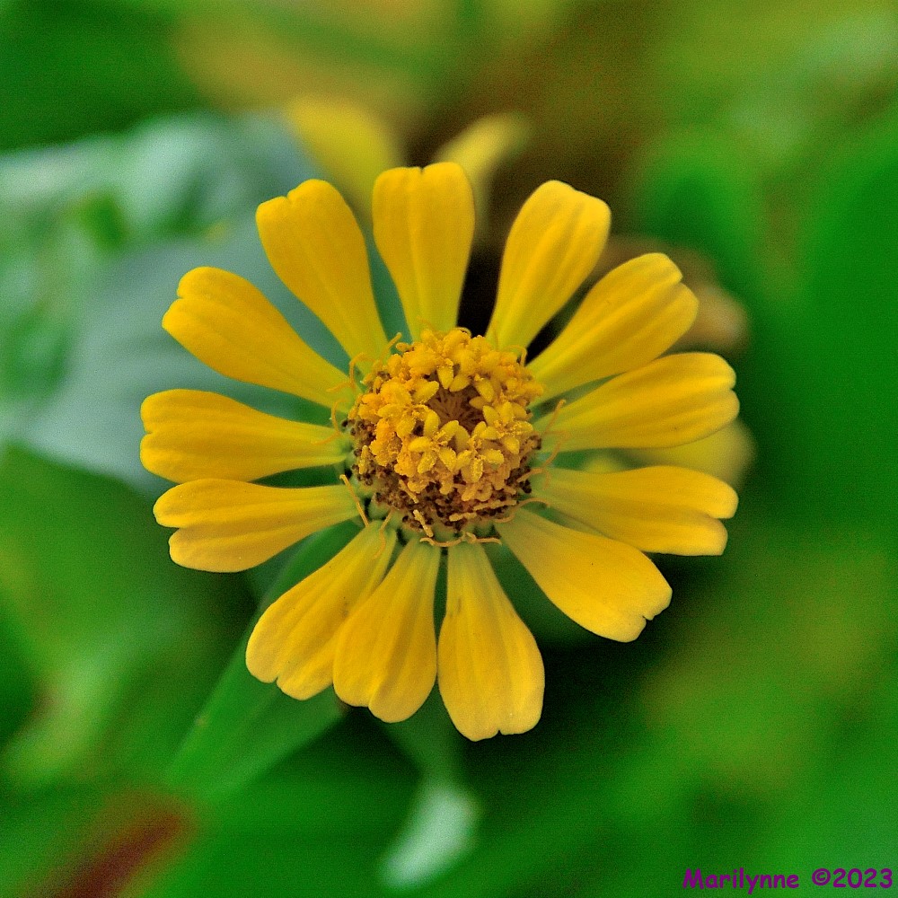 DSC_1372_001.JPG