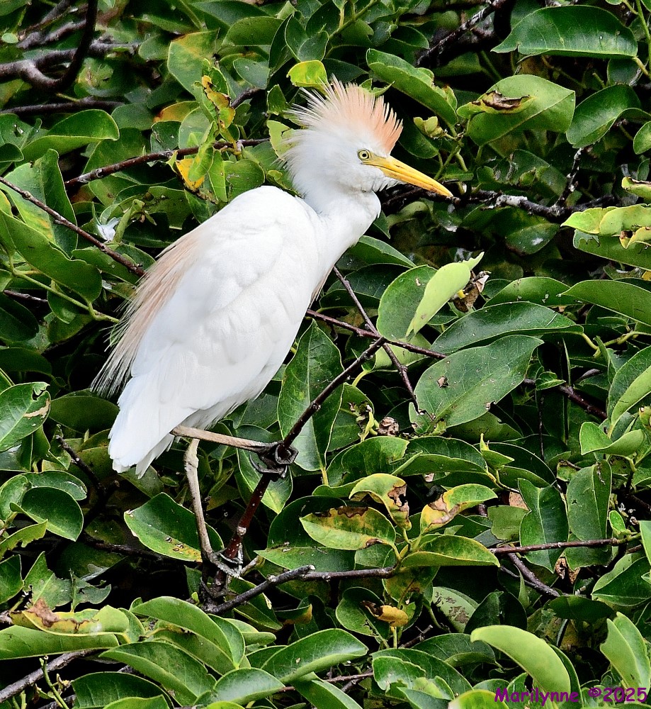 DSC_1374_001.JPG