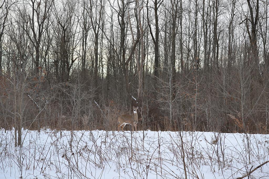 DSC_1376.jpg