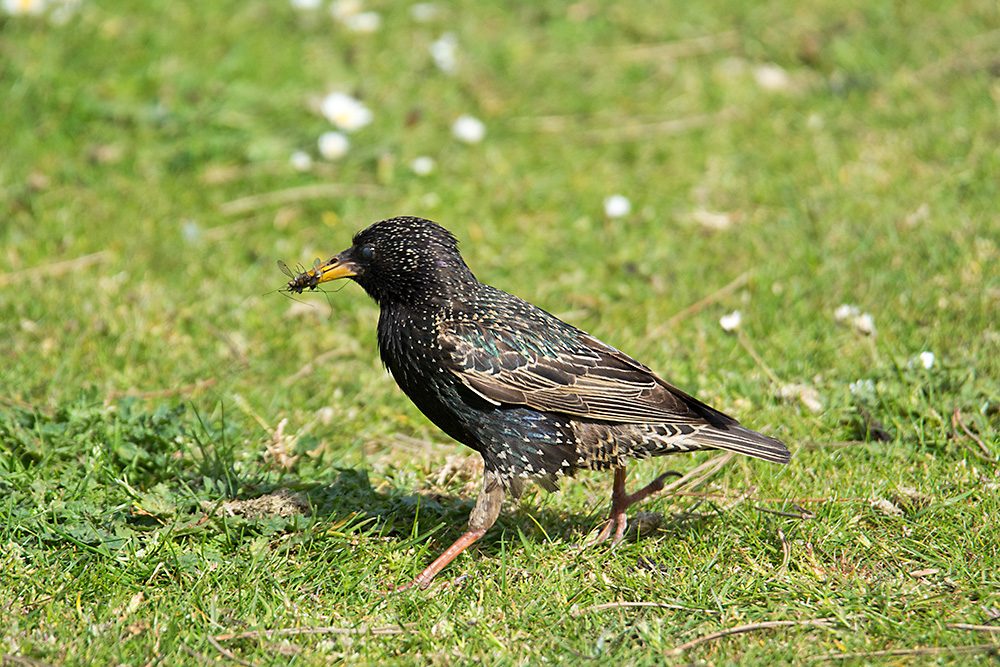 DSC_1378.jpg