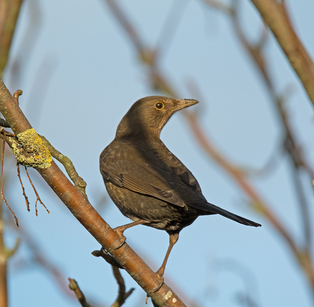 DSC_1380.jpg