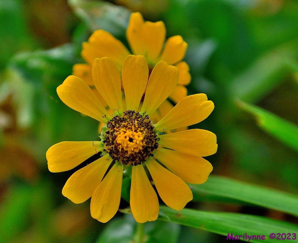 DSC_1380_001.JPG