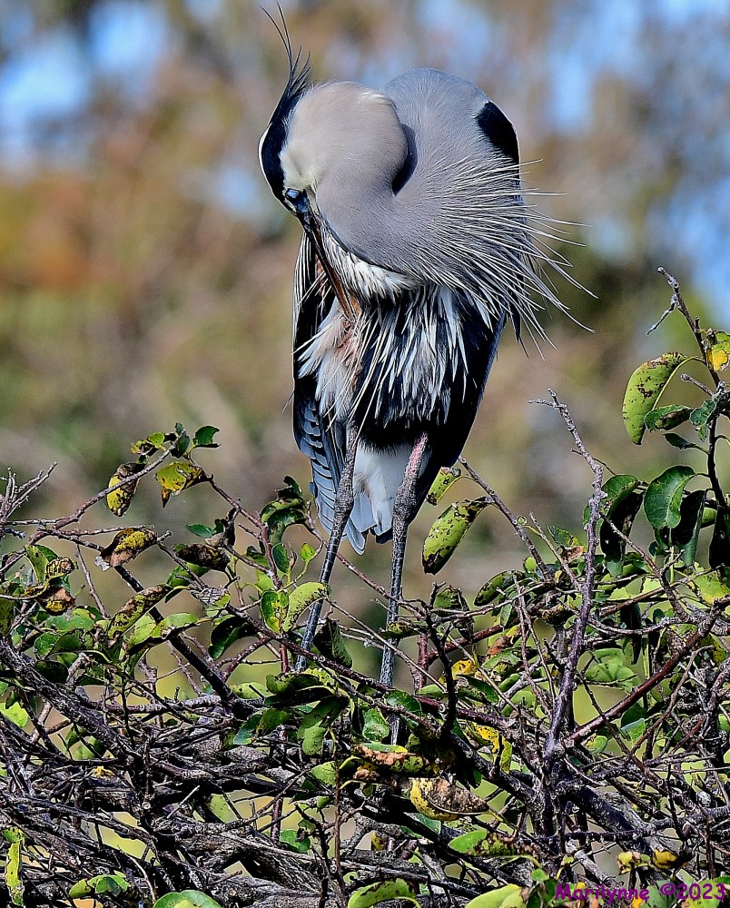 DSC_1380_001.JPG