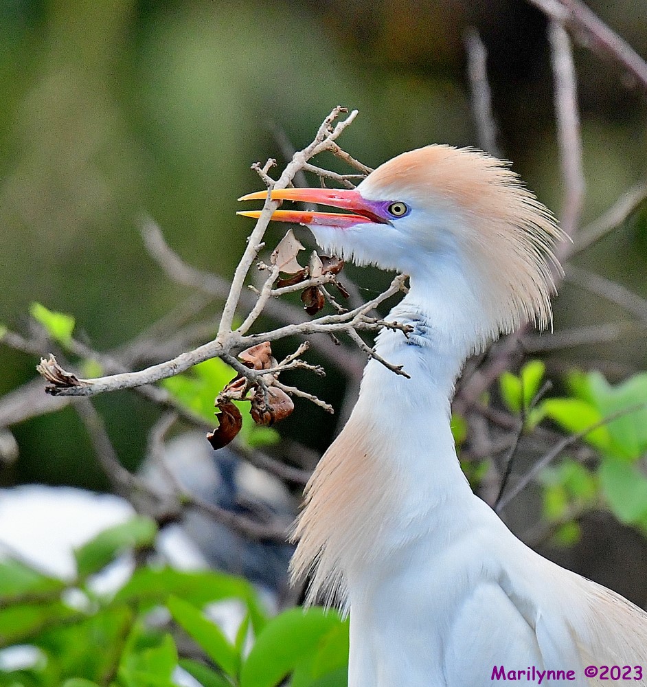 DSC_1381_001.JPG