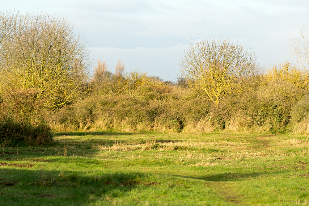 DSC_1384.jpg