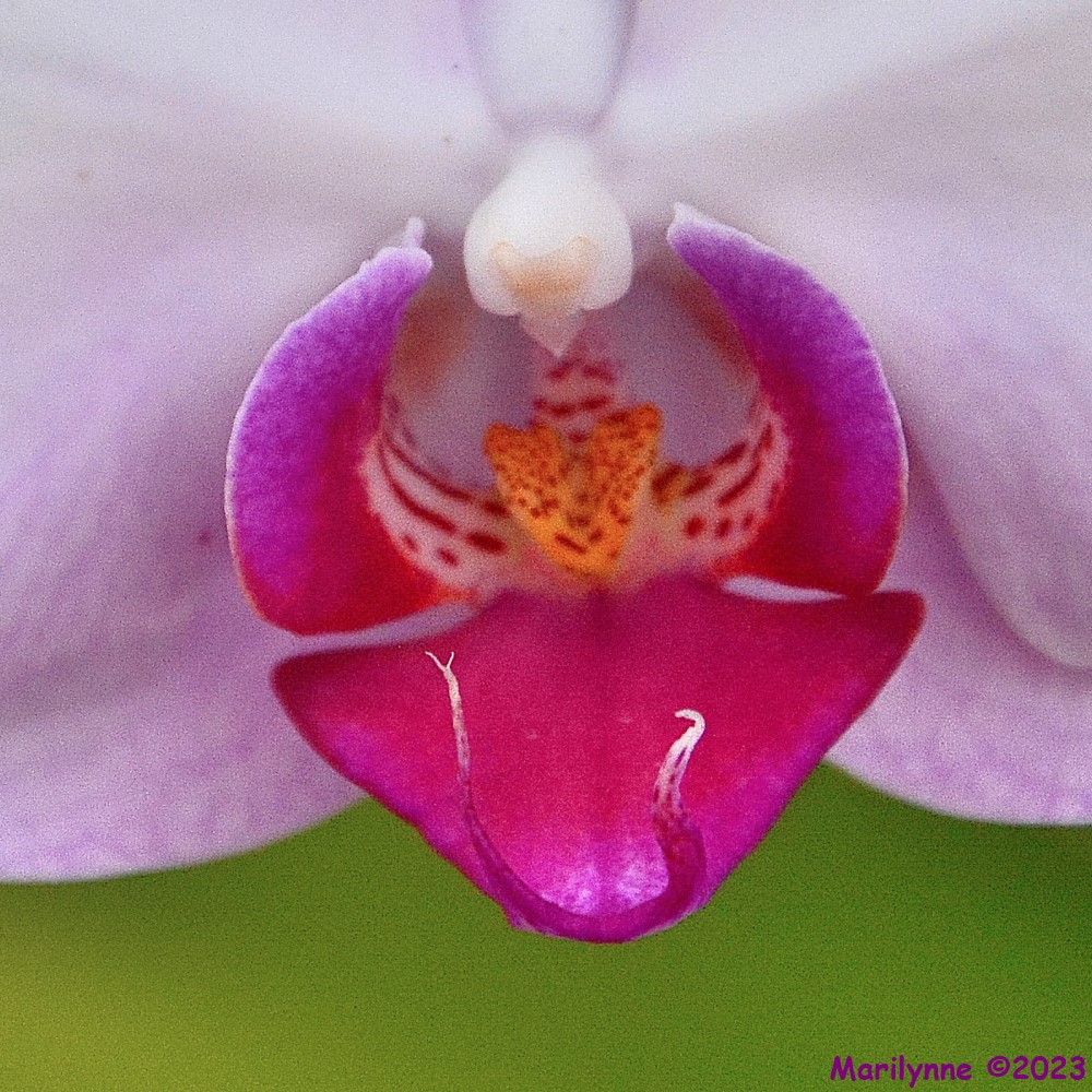 DSC_1384_001.JPG