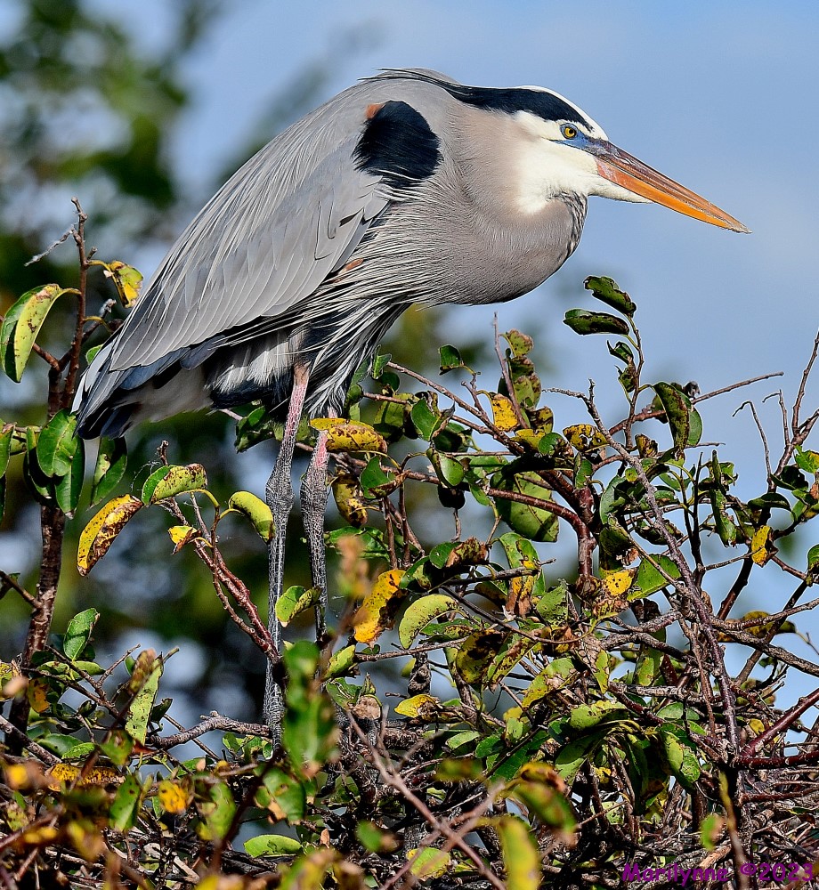 DSC_1389_001.JPG