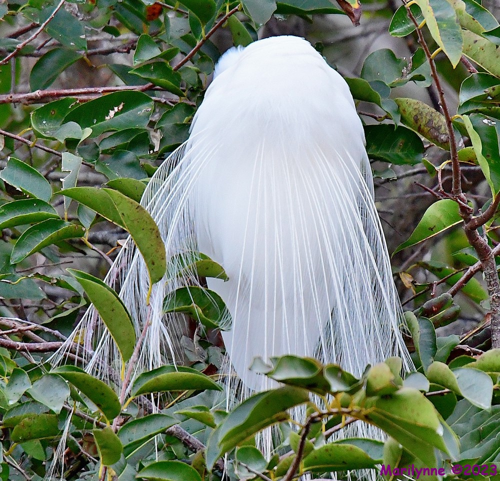 DSC_1396_001.JPG