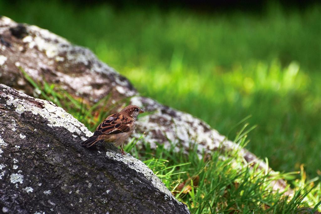 DSC_1397.jpg